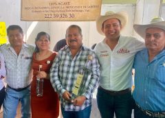 Impulso al agave mezcalero para su producción, comercialización y certificación de productores: Lalo Castillo 