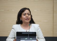 Impulsa diputada Celia Bonaga regular la coordinación entre seguridad pública y privada en fraccionamientos